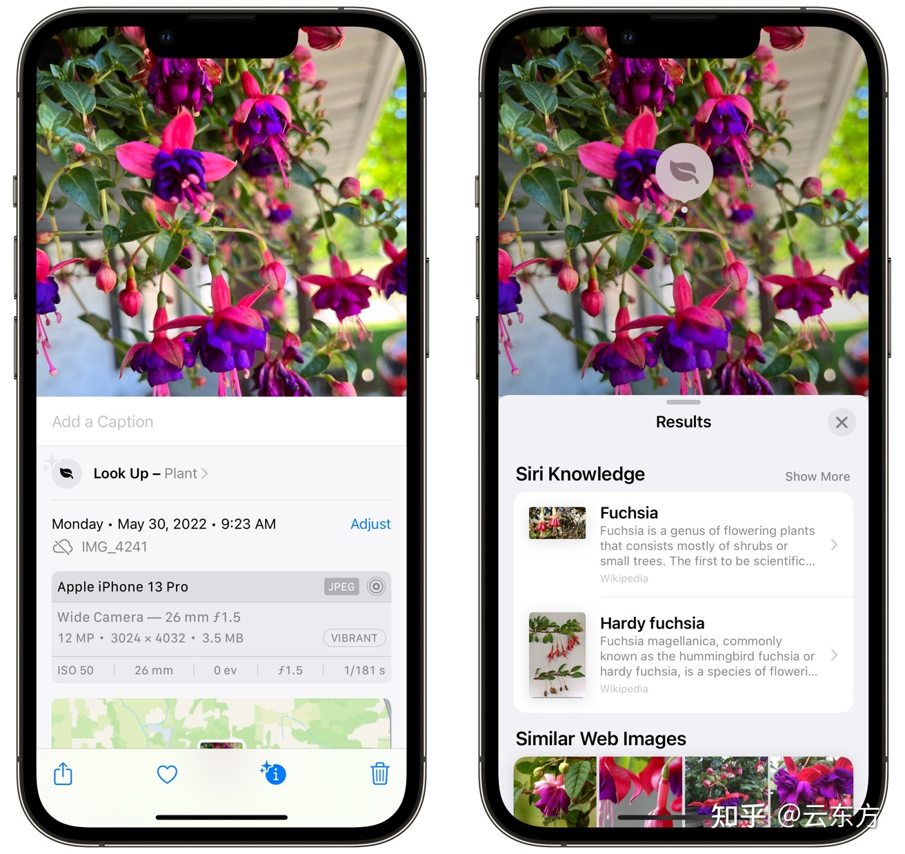 苹果手机拍照花卉设置方法苹果手机拍照照片是倒的怎么调整