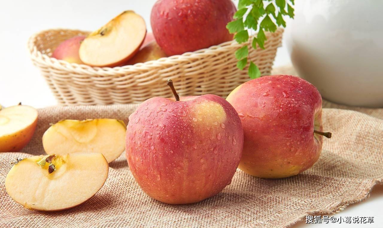pr苹果版的好处
:爱吃苹果的人注意：苹果好处多多，降压减少脂肪、防止皮肤老化！