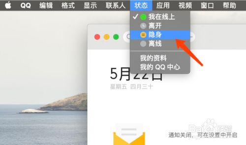 苹果版qq如何隐身苹果手机抖音怎么设置隐身在线-第2张图片-太平洋在线下载