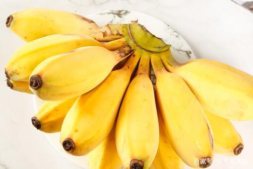 新香蕉苹果版菠萝蜜扦插七十二小时-第2张图片-太平洋在线下载